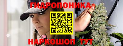 бошки Гатчина