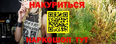 бошки Гатчина