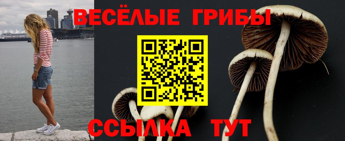 Псилоцибиновые грибы прущие грибы Обнинск
